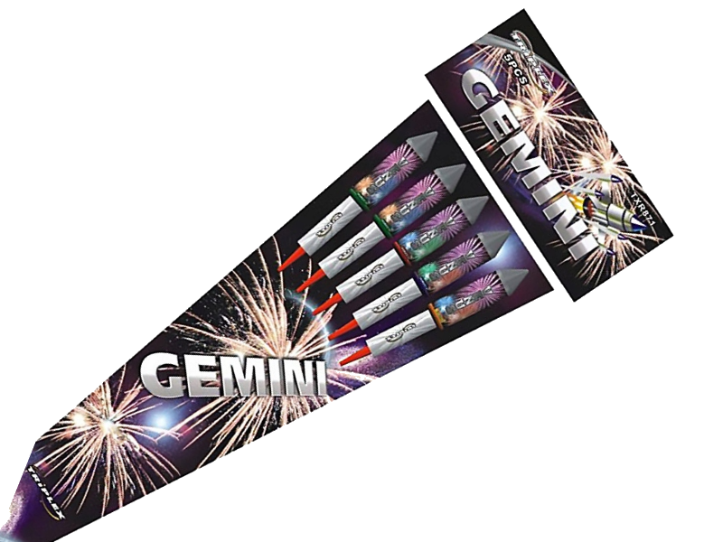 GEMINI